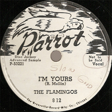 The Flamingos, 